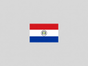 Paraguay National Football Team Flag Placeholder